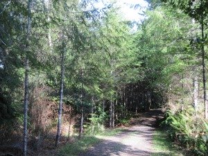 garden view driveway nort